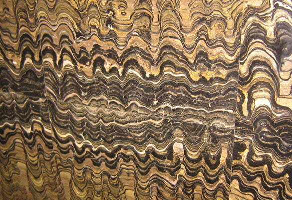 Stromatolite Gemstone